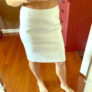 Ann Taylor Skirt